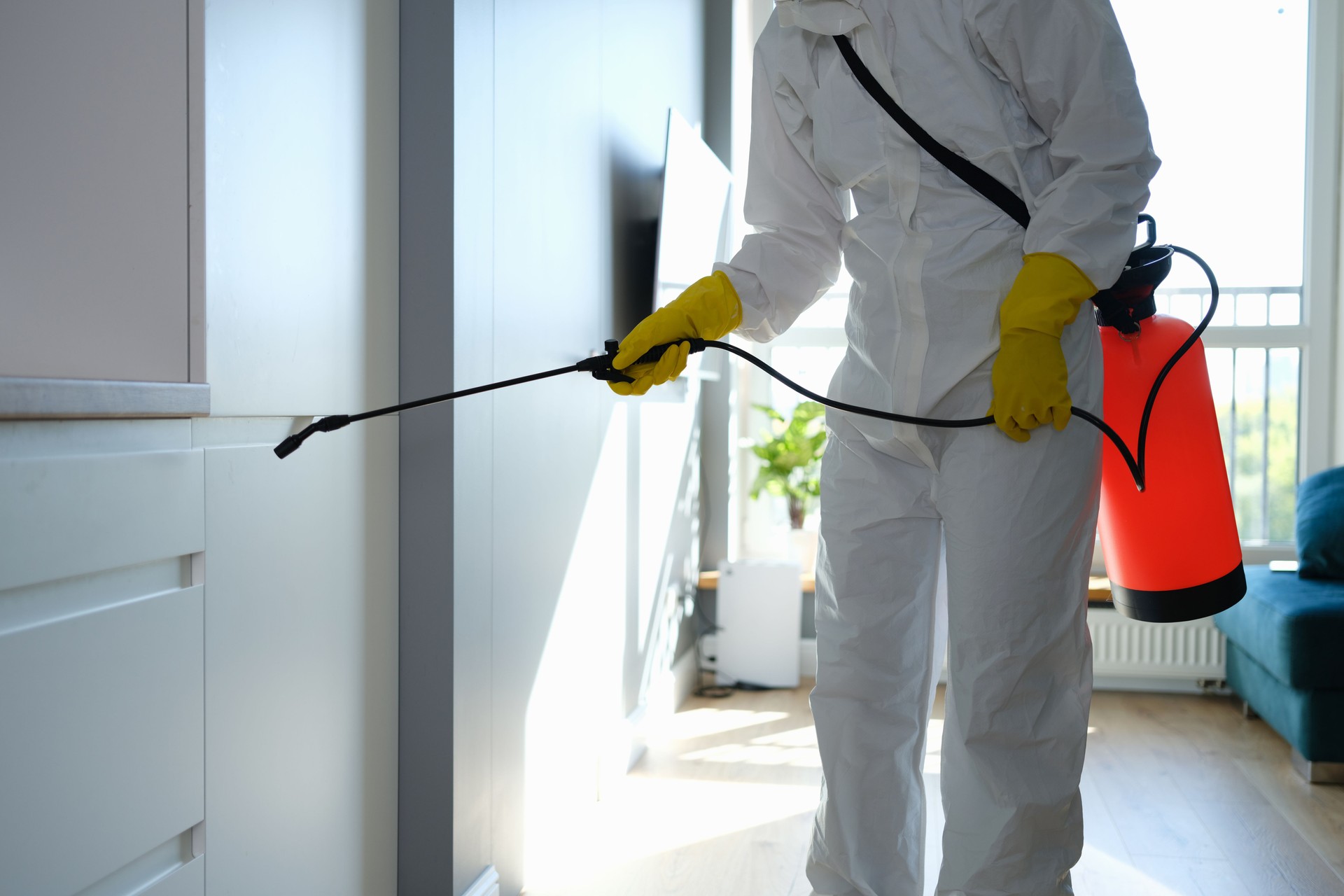 Worker in protective overalls and gloves disinfecting apartment